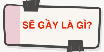 sẽ gầy là gì nghĩa đen